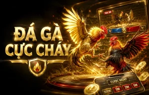 Giao diện Đá Gà staaox